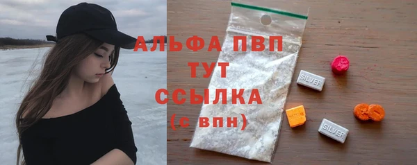 ешки Белокуриха
