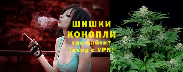 ешки Белокуриха