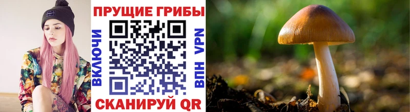 Псилоцибиновые грибы мухоморы  Купить закладки  Лобня 