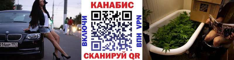 Каннабис Amnesia  Купить закладки  Лобня 